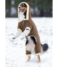 Combinaison douillette pour chien Rudolph