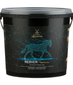 Complément premium Système nerveux