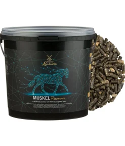 Complément premium musculature