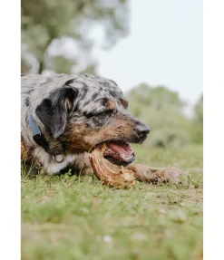 Cou de dinde pour chien . Produit en Autriche.