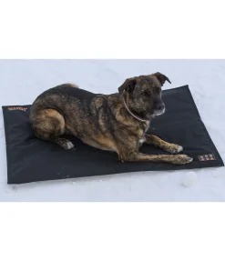 Coussin thermique pour chien Ceramic Rehab