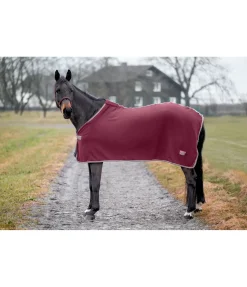 Couverture polaire Economic