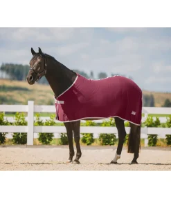 Couverture polaire Economic