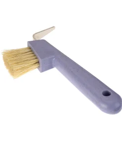 Cure-pied Circle of Life