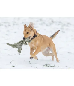 Dinosaure en peluche pour chien Rexy