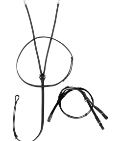 Enrênement Thiedemann