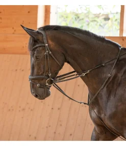 Enrênement Thiedemann