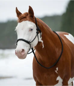 Ensemble licol à noeuds All-in-One