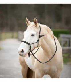 Ensemble licol à noeuds All-in-One