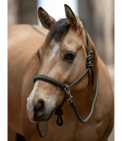 Ensemble licol à noeuds All-in-One