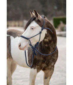Ensemble licol à noeuds All-in-One