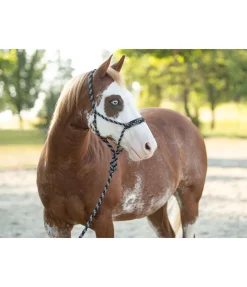 Ensemble licol à noeuds et longe Soft