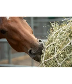 Filet à foin en coton