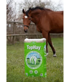 Foin TopHay