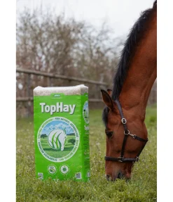 Foin TopHay