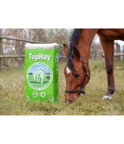 Foin TopHay