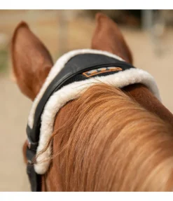 Fourreau de têtière Ceramic Rehab