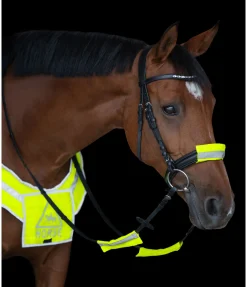 Fourreaux réfléchissants pour bridon
