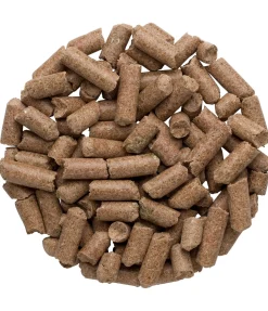 Friandises à la pomme