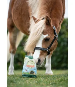 Friandises Nature Pomme