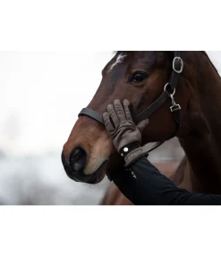 Gants d'hiver Luzern