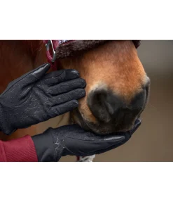 Gants d'équitation hiver