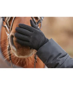 Gants hiver en polaire Softy