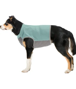Gilet rafraîchissant pour chien Refresh
