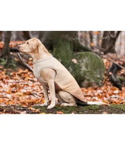 Gilet softshell réversible pour chien Willa, 80 g