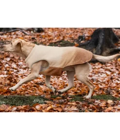 Gilet softshell réversible pour chien Willa, 80 g