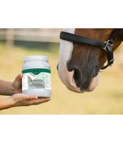 Granulés de spiruline