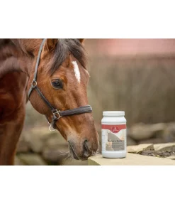 Granulés pour le système nerveux Calme intérieur