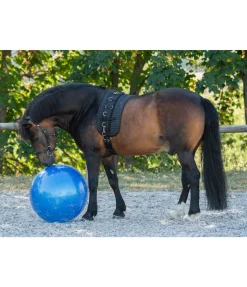 Grosse balle de jeu pour cheval
