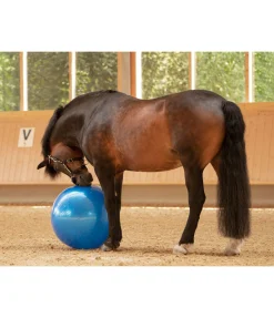 Grosse balle de jeu pour cheval