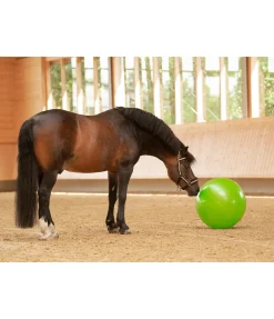Grosse balle de jeu pour cheval