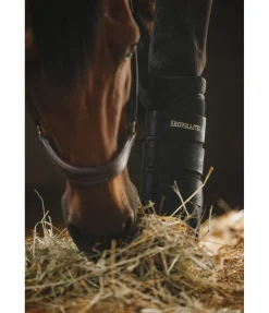 Guêtres d'écurie Pro