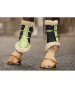 Guêtres de dressage en polaire Teddy Essential (postérieurs)