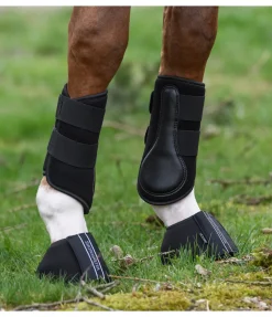 Guêtres d'entraînement , antérieurs