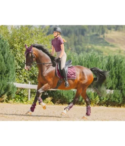 Guêtres fonctionnelles Swiss Design (Postérieurs)