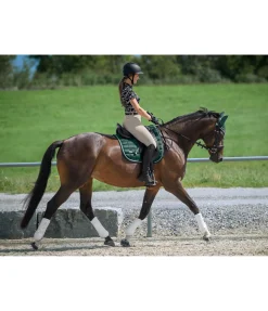 Guêtres pour antérieurs Perfect Protection Air mesh