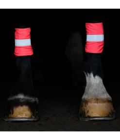 Guêtres réfléchissantes