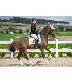 Guêtres techniques Swiss Design (Antérieurs)