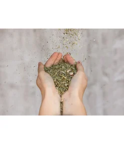 Herbes pour bronches