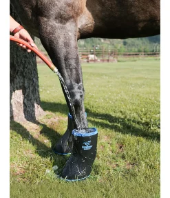 Hipposandale vétérinaire EasyBoot Remedy