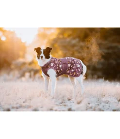 Imperméable pour chien Pumpkin Spice, 0 g