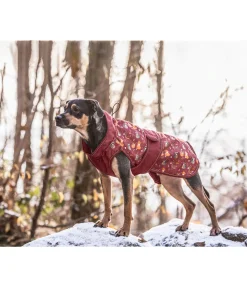 Imperméable pour chien Pumpkin Spice, 0 g