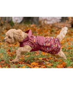 Imperméable pour chien Pumpkin Spice, 0 g