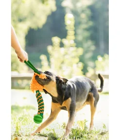 Jouet à tirer pour chien Agi