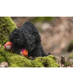 Jouet en corde pour chien Sepp