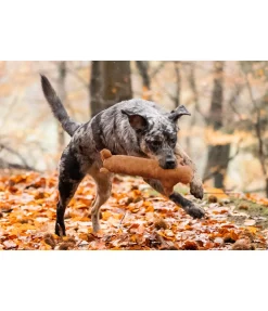 Jouet en peluche pour chien Jasper